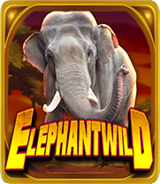 ELEPHANT WILD