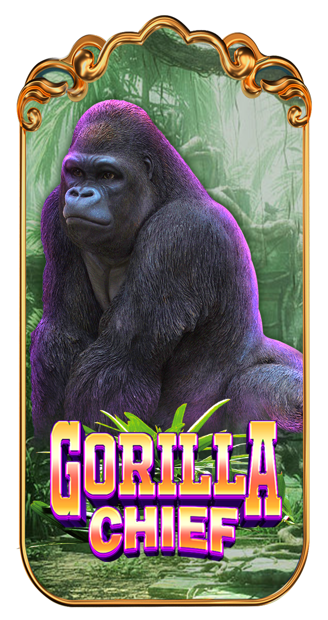 GORILLA CHIEF